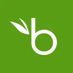 Bamboo HR